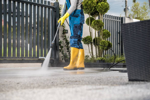 Best Roof Pressure Washing  in Midway, KY